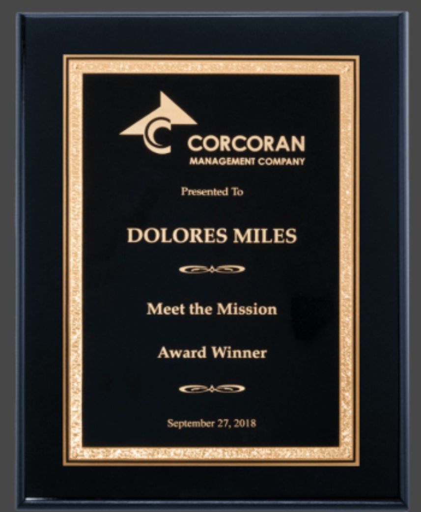 P5356  8&quot;x10&quot;  Black High Luster Plaque w/Black Plate