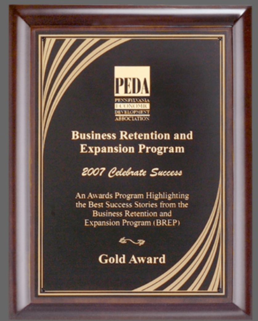 P4260  8&quot;x10&quot;  Cherry Finish Plaque w/Black Plate